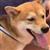 黄